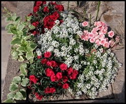 IMG_0062