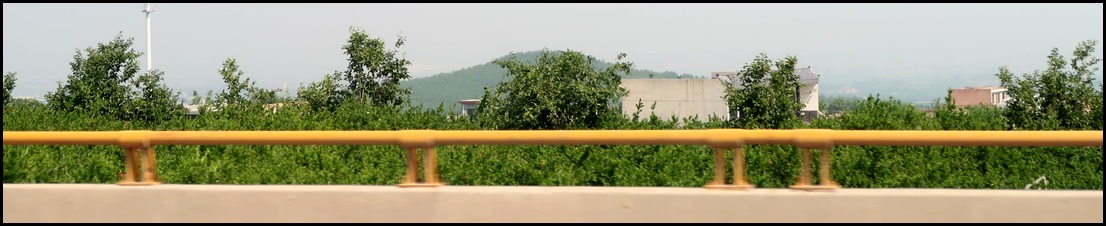 IMG_0155