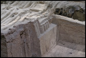 IMG_0265