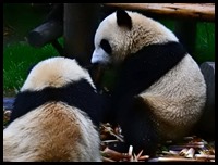 DSCN7642