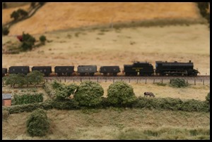 IMG_0026