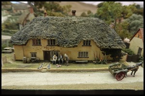 IMG_0053