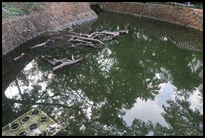 IMG_0061