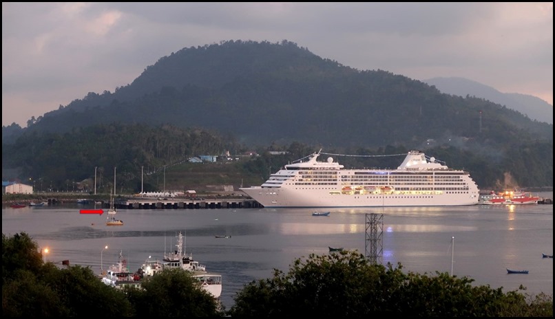 Beez in Sabang