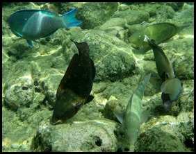 IMG_5886