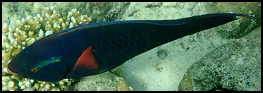 P2160011