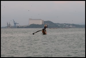 IMG_0150