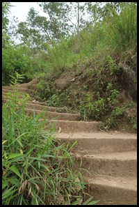 IMG_0037