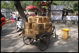 IMG_0005