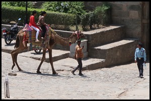 IMG_0206