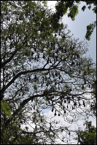 DSCN8256