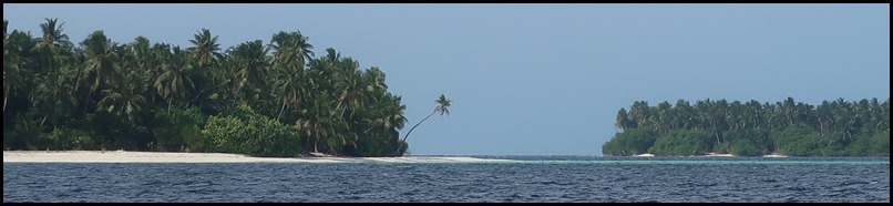 IMG_0062