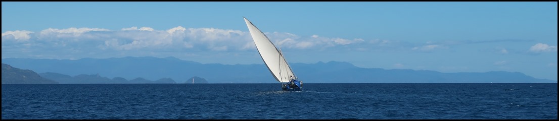 IMG_0049