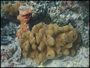 P7110026