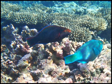 P7110074