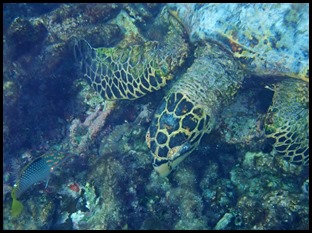 P6290111