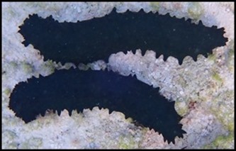 P7010039