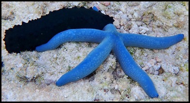 P7010057