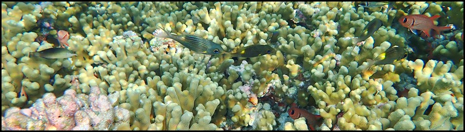 P7010050