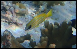 P7010040
