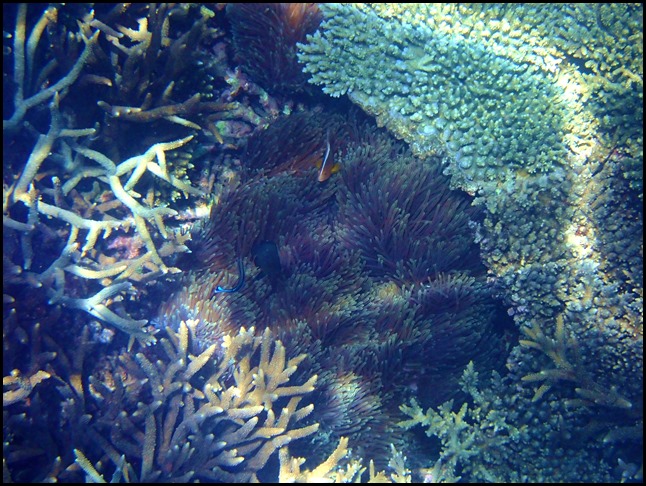 P9200020