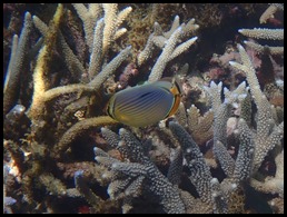 P9200037