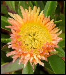 DSCN1048