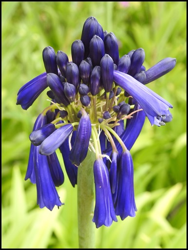DSCN1020