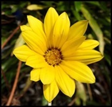 DSCN0933