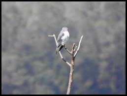 DSCN0354