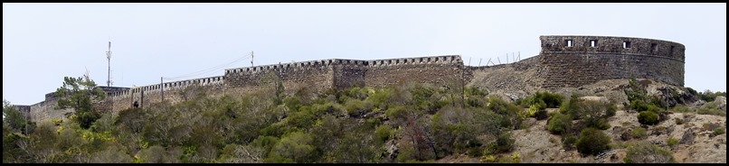 DSCN1209