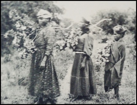 P1100009