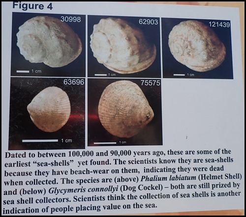 P1110013