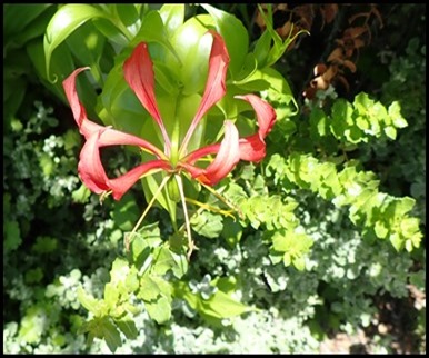P1100102