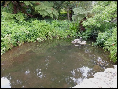DSCN0996