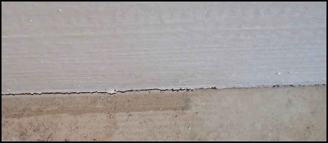 P6070007