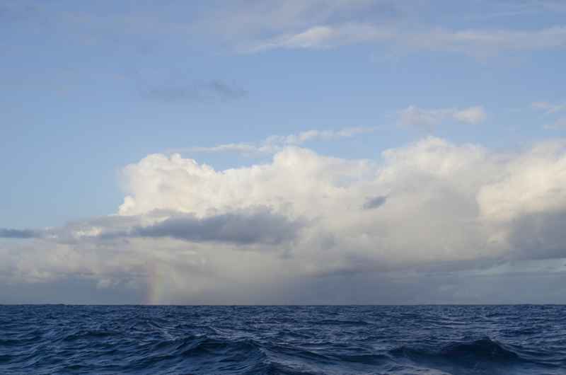 squall