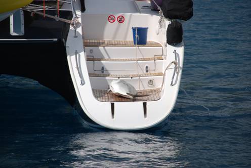 Raiateajuli09 333.jpg
