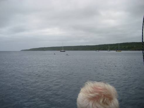 Nieafu, Vavauaug09 017.jpg