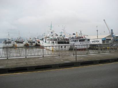 Suva 027.jpg