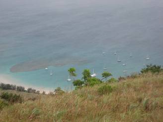 lizardisland 038.jpg