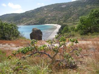 lizardisland 064.jpg