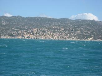 lizardisland 093.jpg