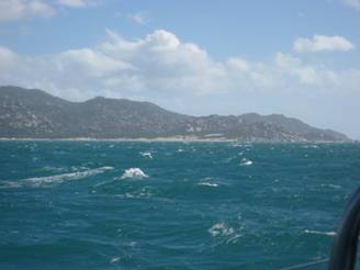 lizardisland 092.jpg