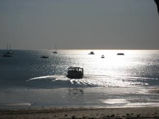 darwin 010.jpg