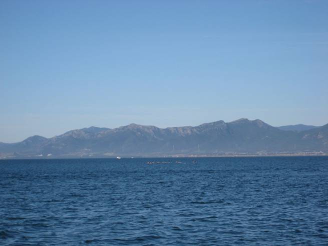 cagliari 036.jpg