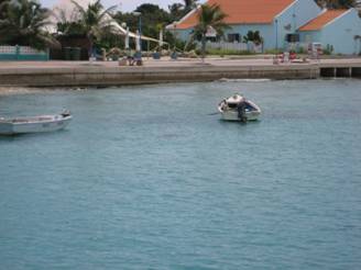 Curacaomars09 006.jpg
