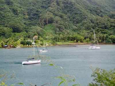 image9.jpeg