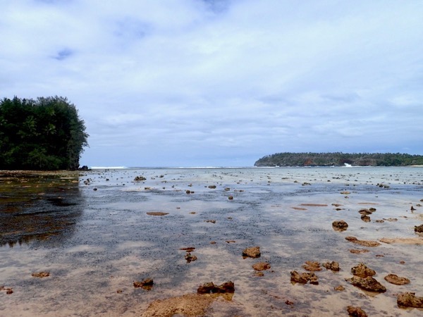 image7.jpeg