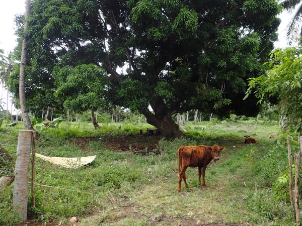 image9.jpeg